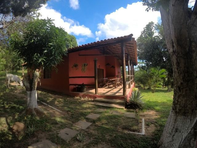 Fazendinha com 260.000m2 em candeias - Foto 12