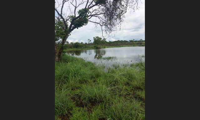 207 alqs Tem logística água e terra conceição TO - Foto 16