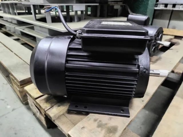 Motor Elétrico Lynus 2 CV 2 Polos Alta Rotação Monofásico Blindado Seminovo