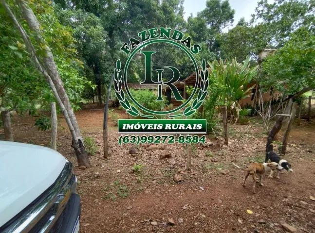 Fazenda 43 Alqueires Próximo a Palmas - Foto 2