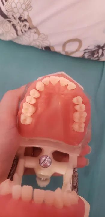 MANEQUIM de cirurgia DENT ART NOVO - Foto 4