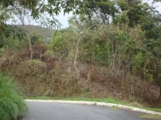 Lote em condomínio fechado - Venda - Nova Lima