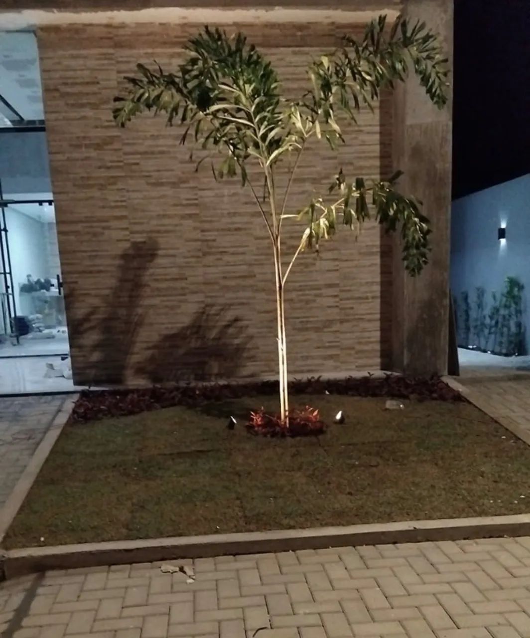 Foto - Belém - Parque Verde