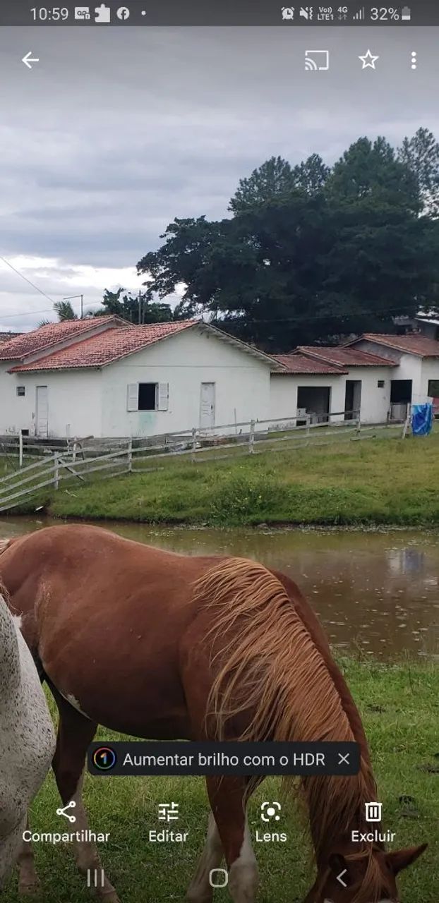 Torrando sitio lindo... - Foto 4