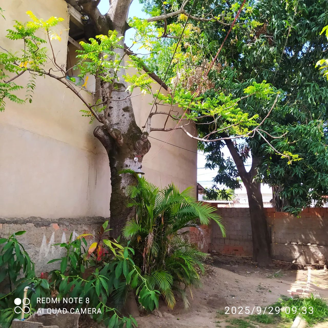 Vendo terreno com 2 casas - Foto 4