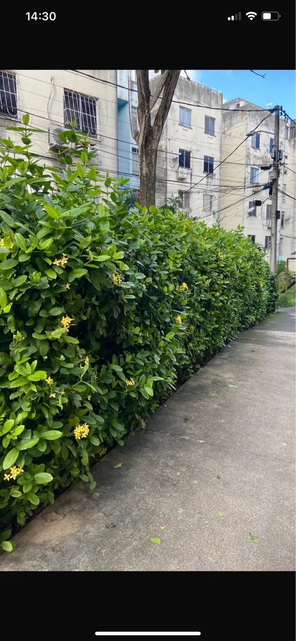 Venda de apartamento