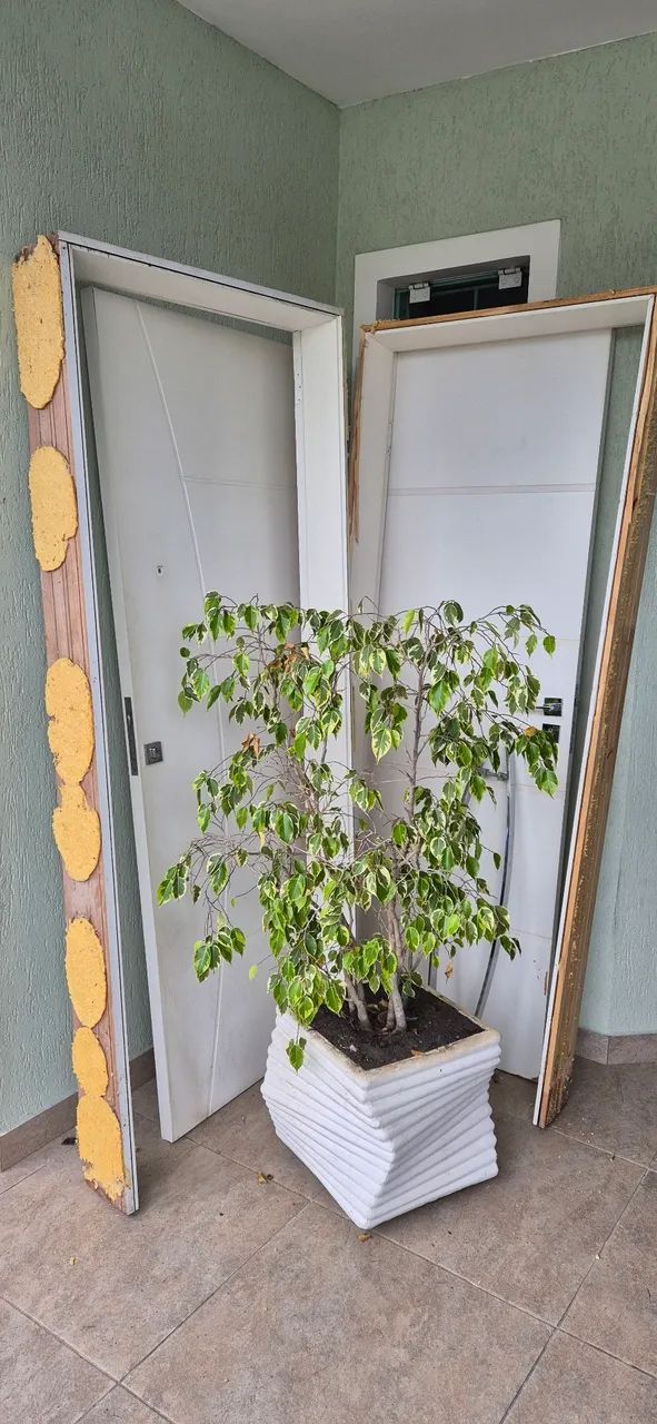 Porta branca de madeira usada