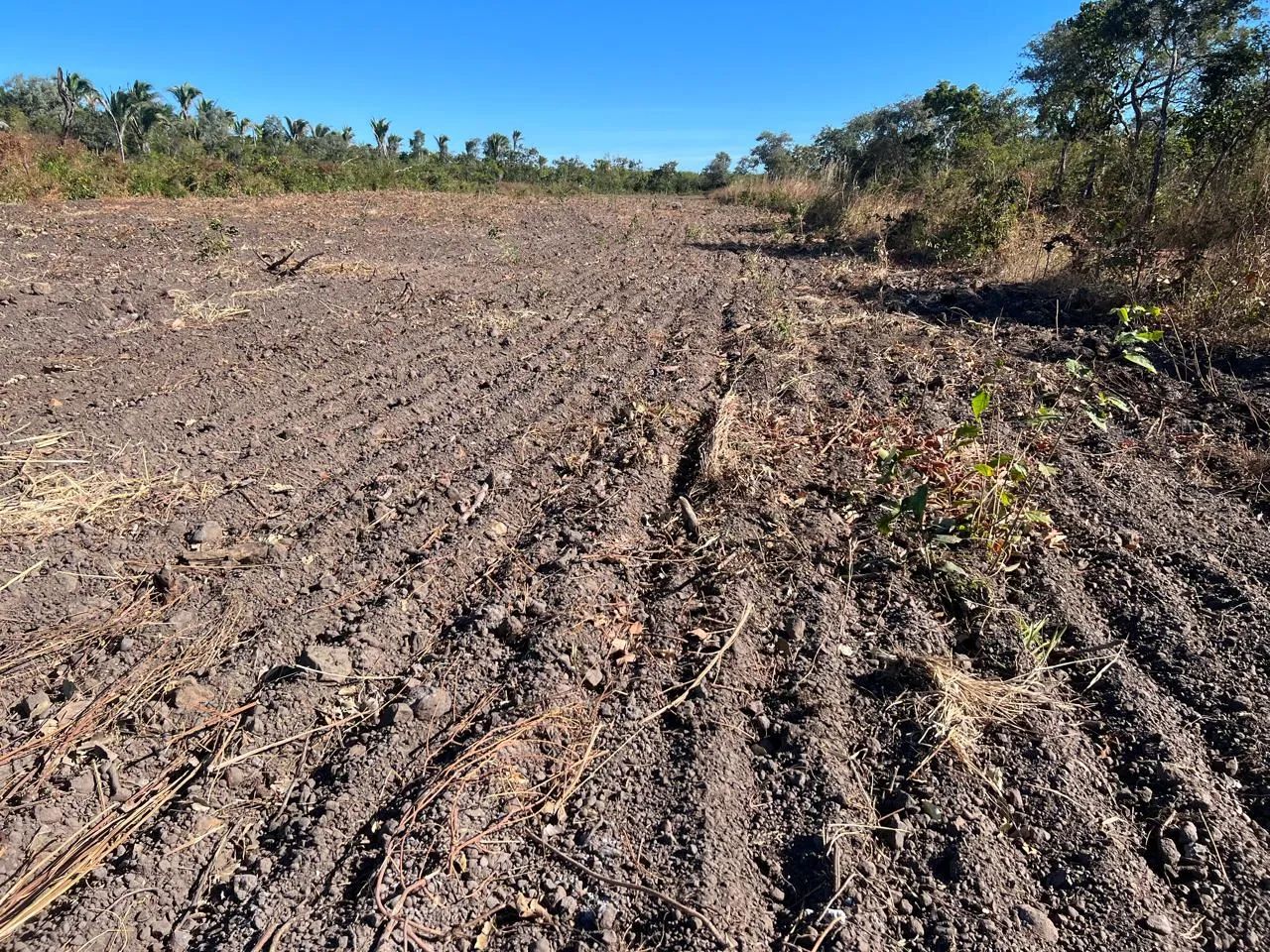 Oportunidade! fazenda em São Pedro do Piauí com 1.070 hectares para lavoura,  boa de solo. - Foto 3