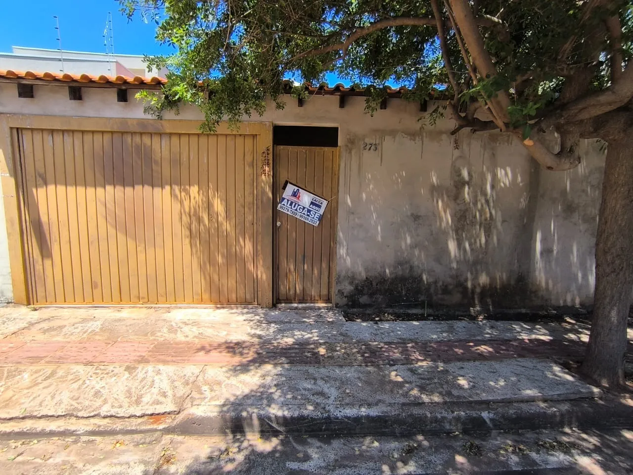 Casa no Sirio Libanes!