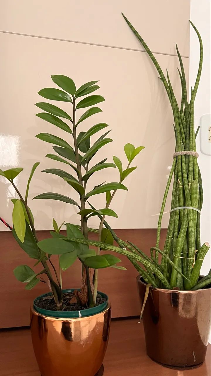 Vaso  de metal com plantas completo 2 conju 120 - Foto 4