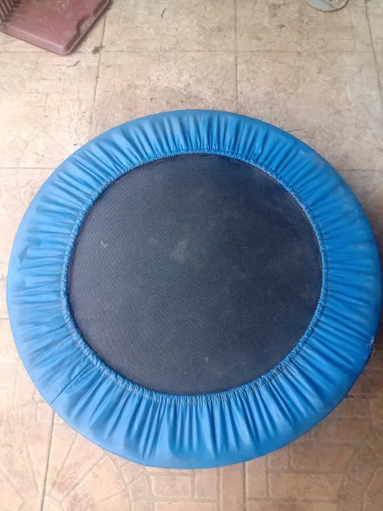 cama elástica