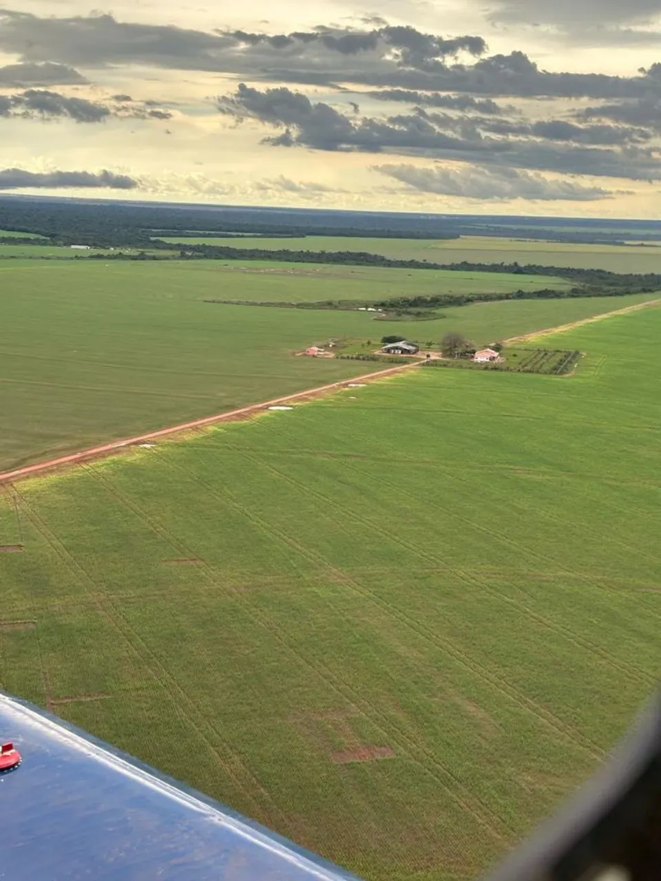 Fazenda arrendamento 5.600 hec região xingú MT.