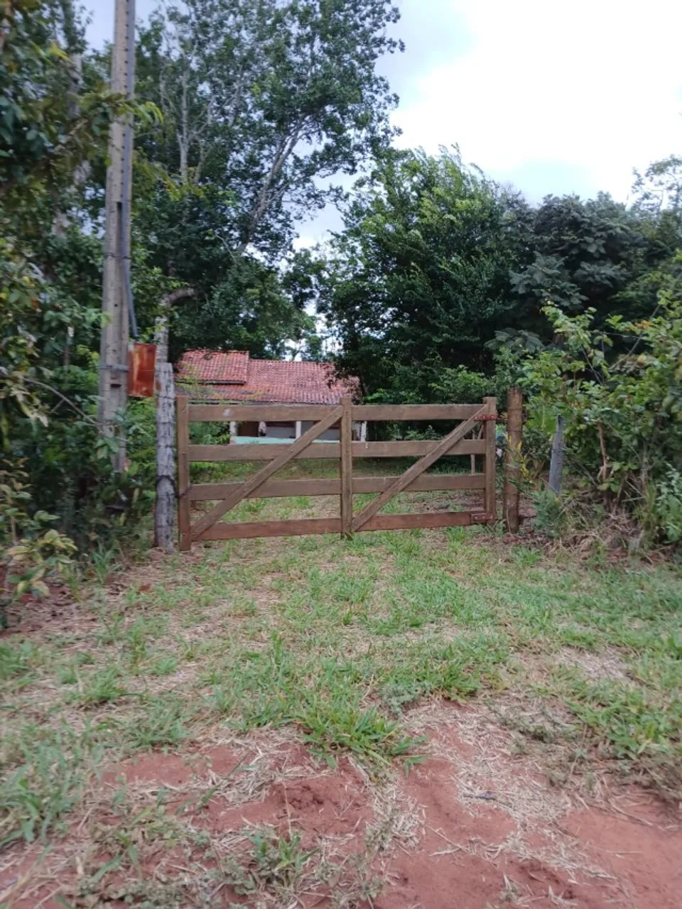 Chacara 5 hectares
