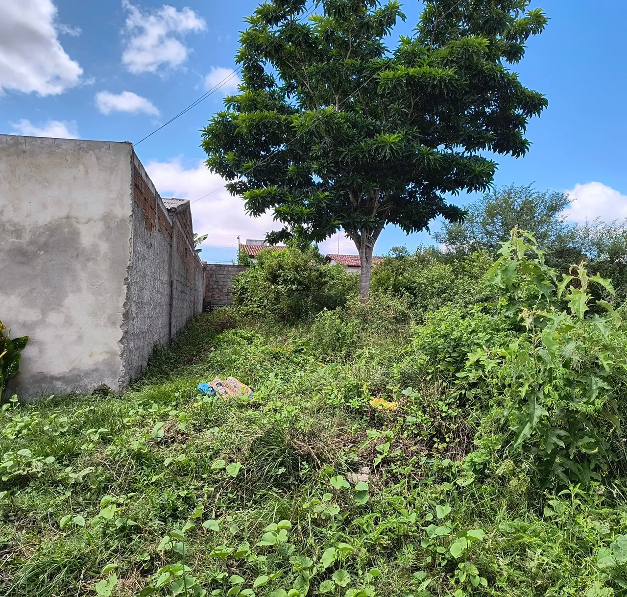 Lote no Guajará