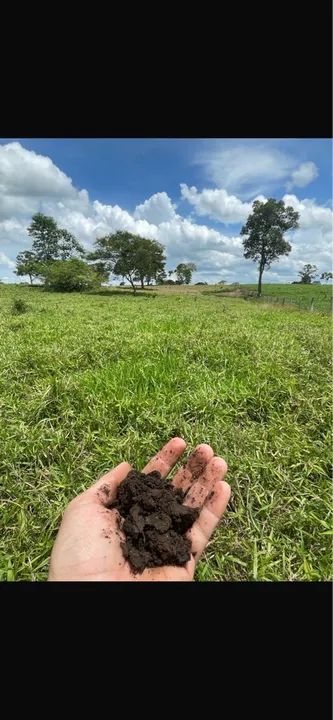 Fazenda 205 Alqueire terra preta e vermelha pronta - Foto 3