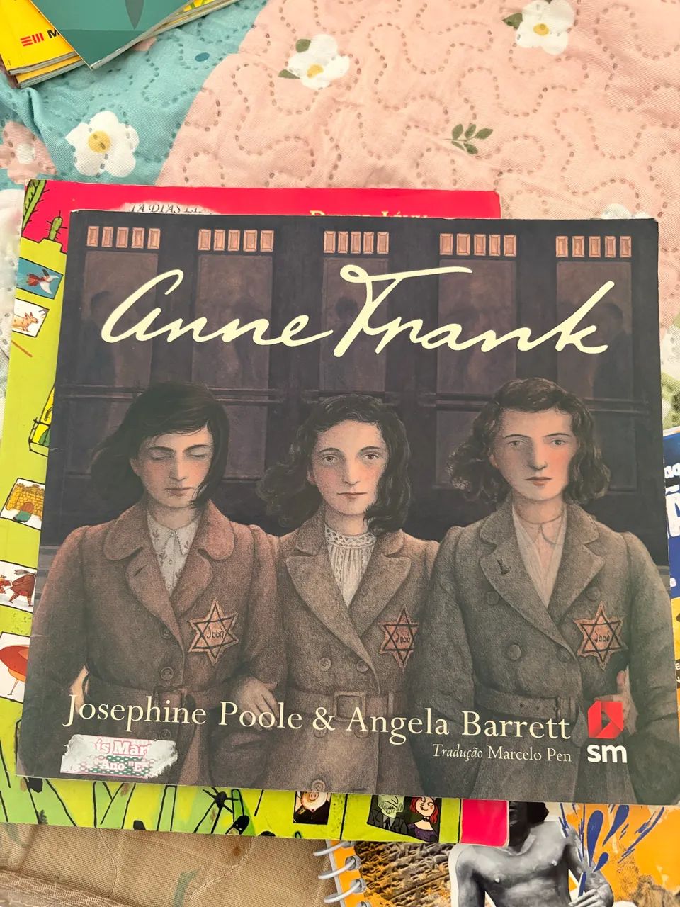 Paradidáticos Diversos  - Foto 4