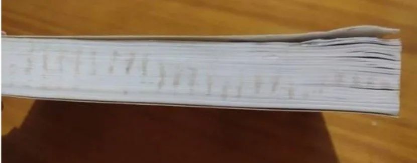 Livro Mimesis - Erich Auerbach - Foto 4