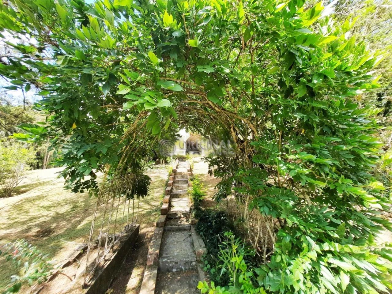 CHÁCARA PARA LOCAÇÃO - Foto 5