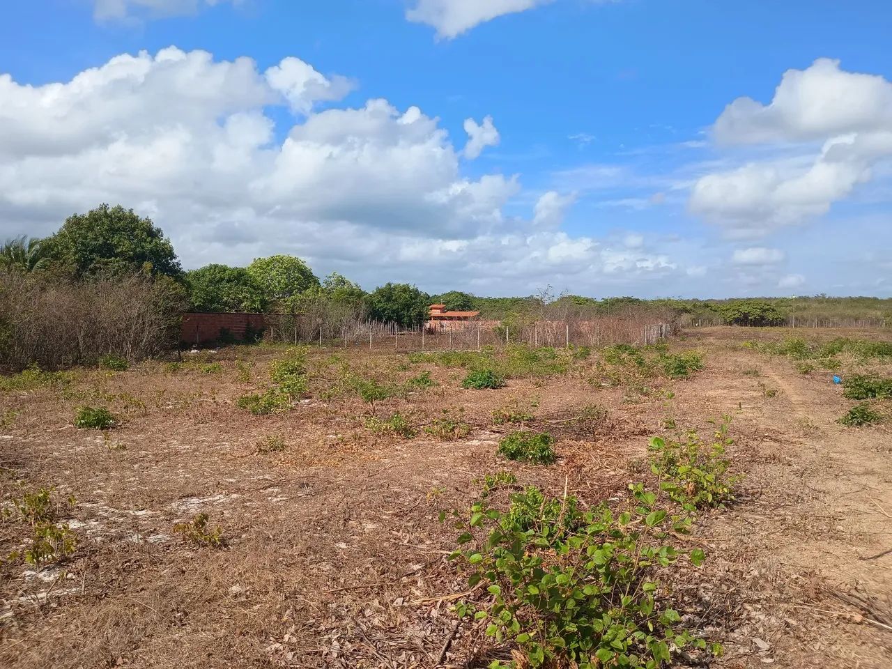 Terreno no siupé  - Foto 2