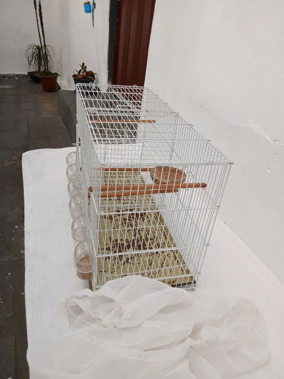 Gaiola  - Foto 4