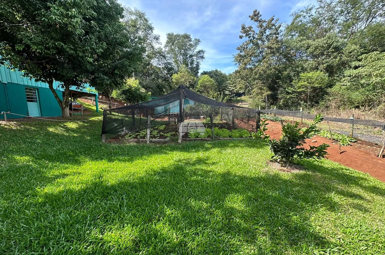 Vendas Chácara Pato Branco PR - Foto 4