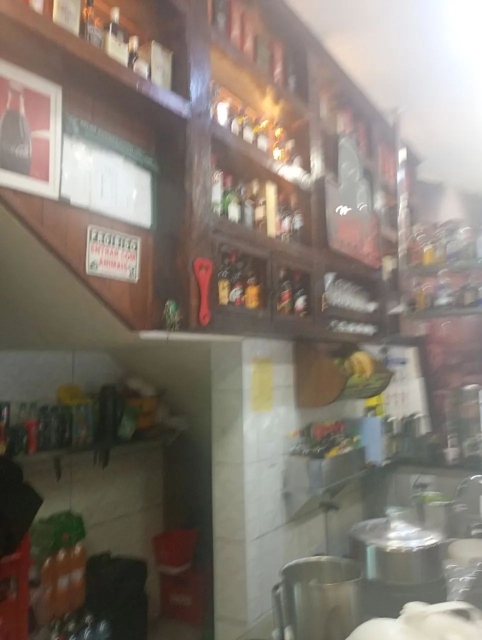 Cozinheira geral