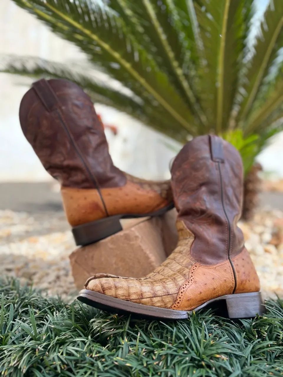 Bota couro de jacaré com avestruz 