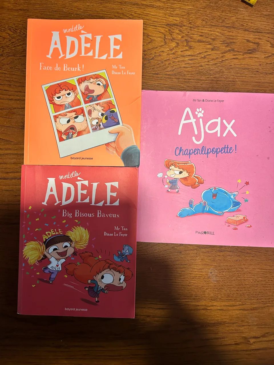 Coleção  de livros em francês 