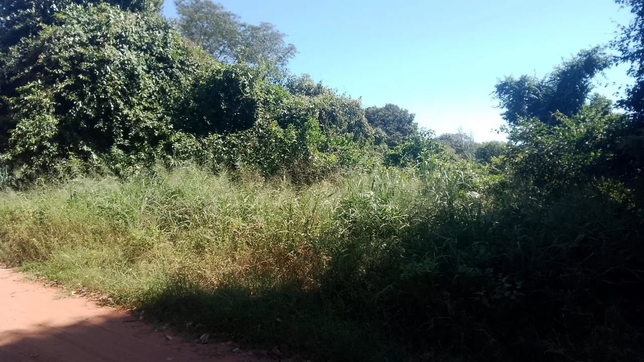 Terreno
