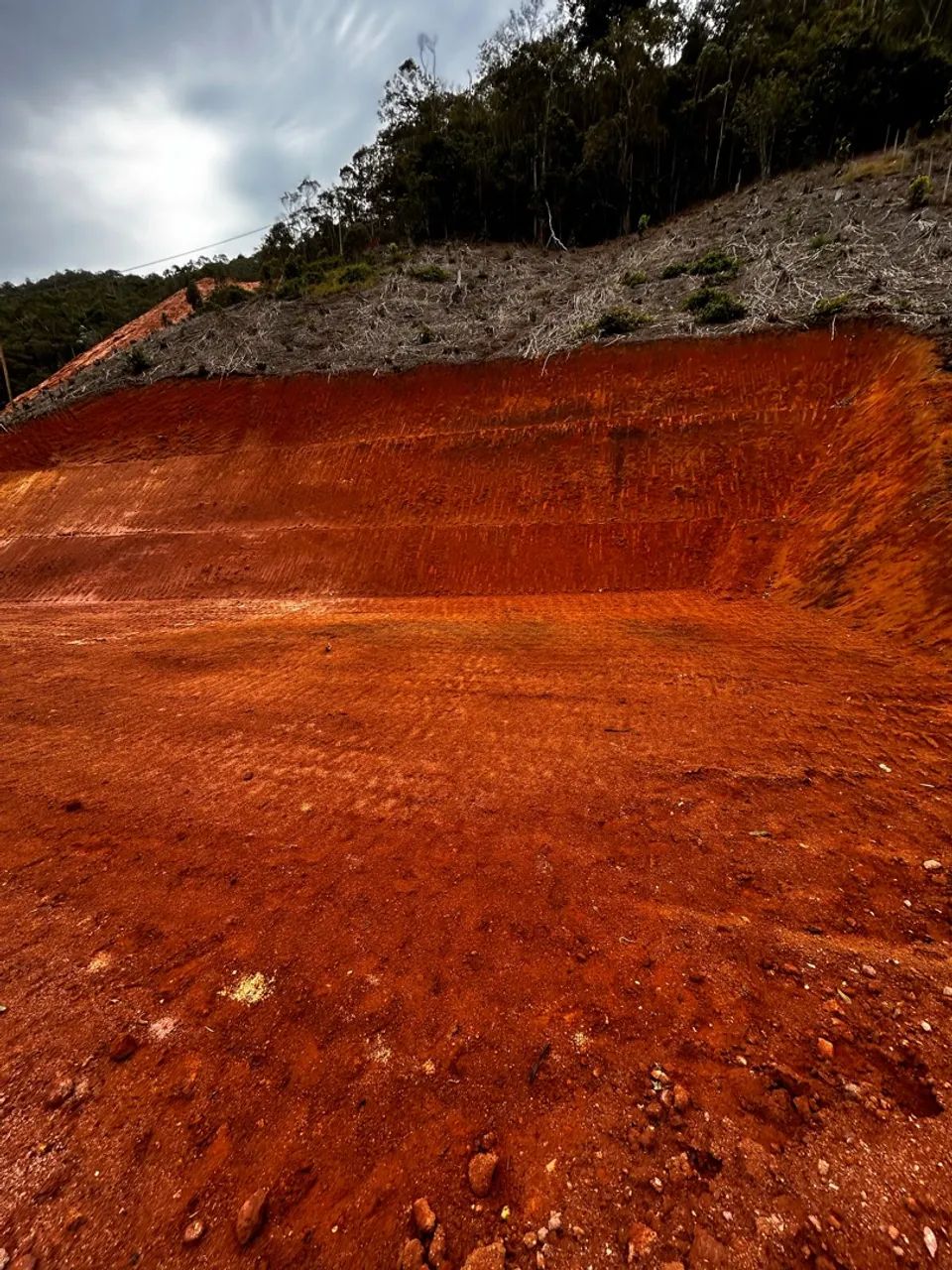 Terreno 20.000m2 - Foto 2
