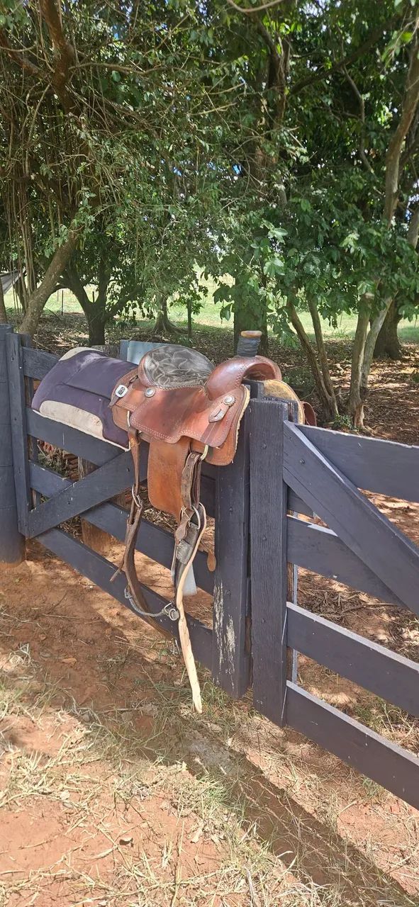 Sela de tem roping - Foto 4