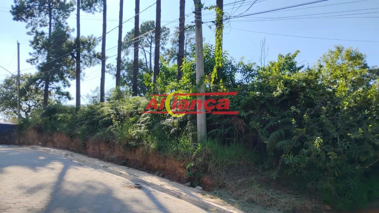 Excelente terreno de esquina com 1.317 m² - Foto 3