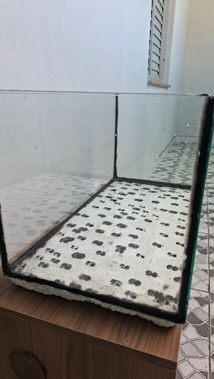 Aquário  - Foto 2