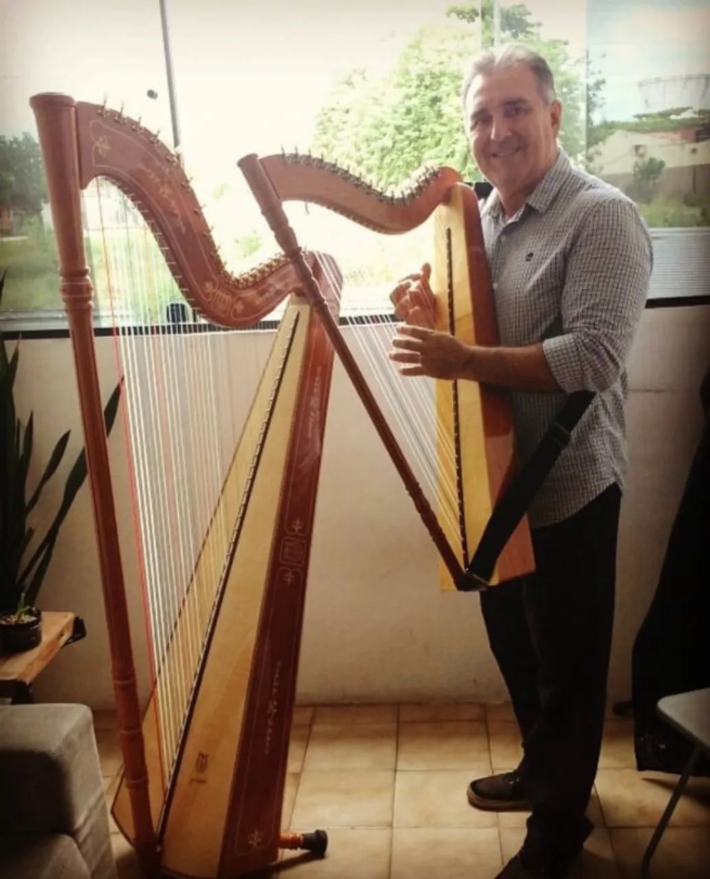 Harpa a venda - Foto 5