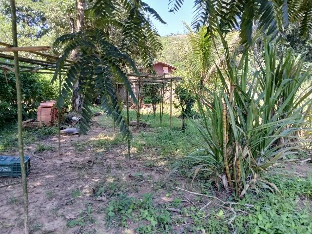 terreno para sítio / chácara com 6.590m² - Foto 4