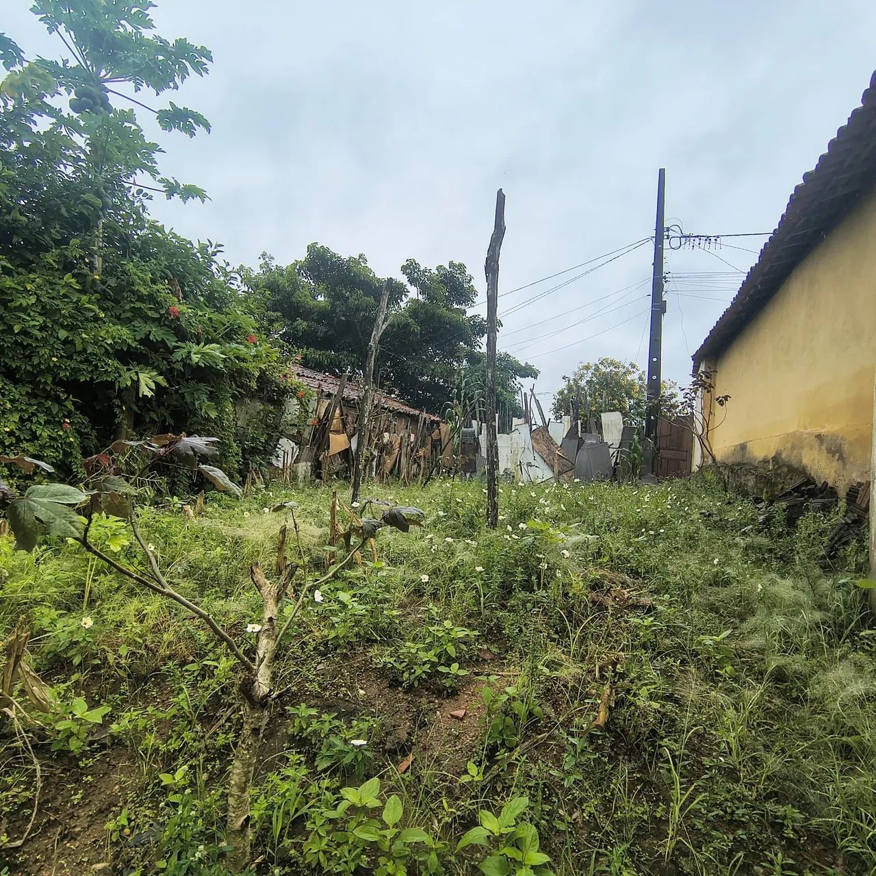 Terreno /Lote 6,00x25,00 - Foto 3