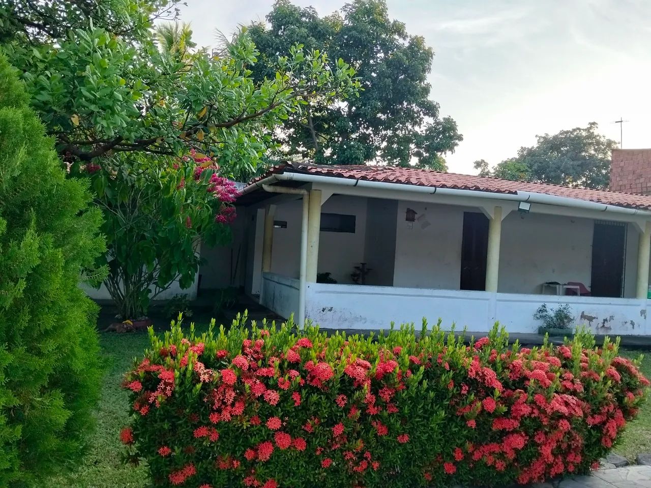 Chácara aluguel - Foto 3