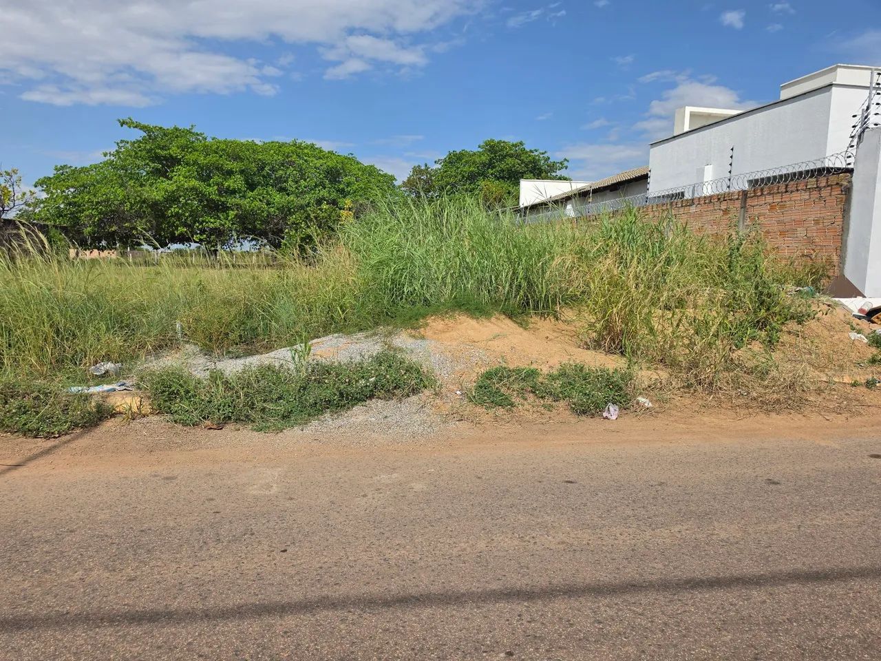 Foto - Boa Vista - Cinturão Verde