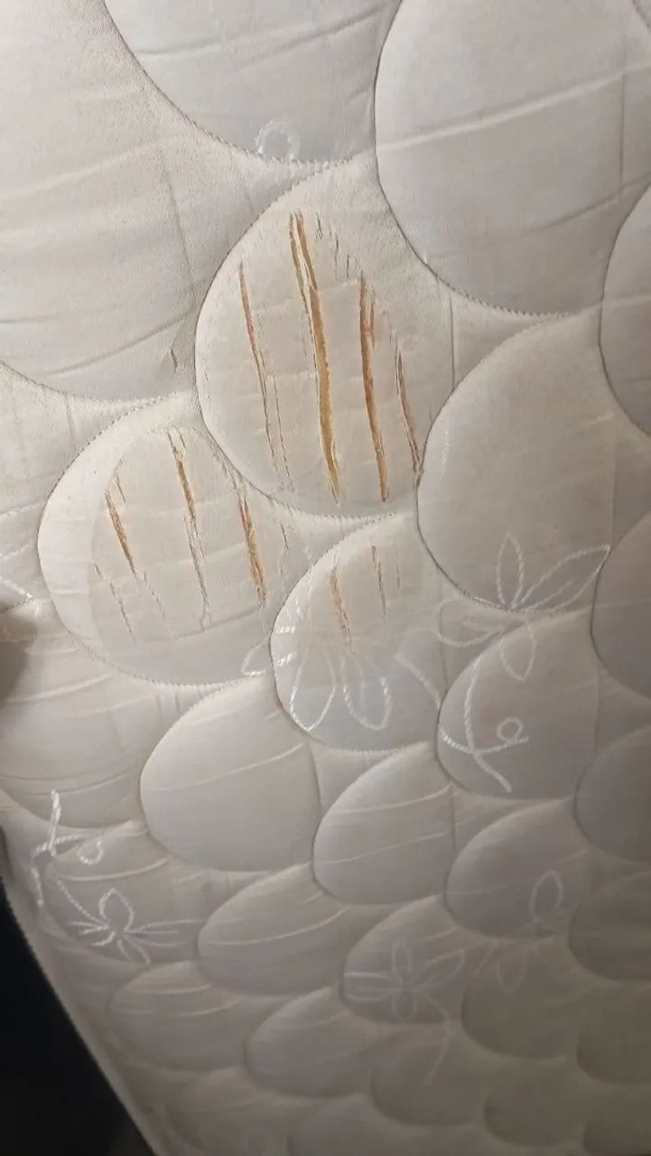 Cama