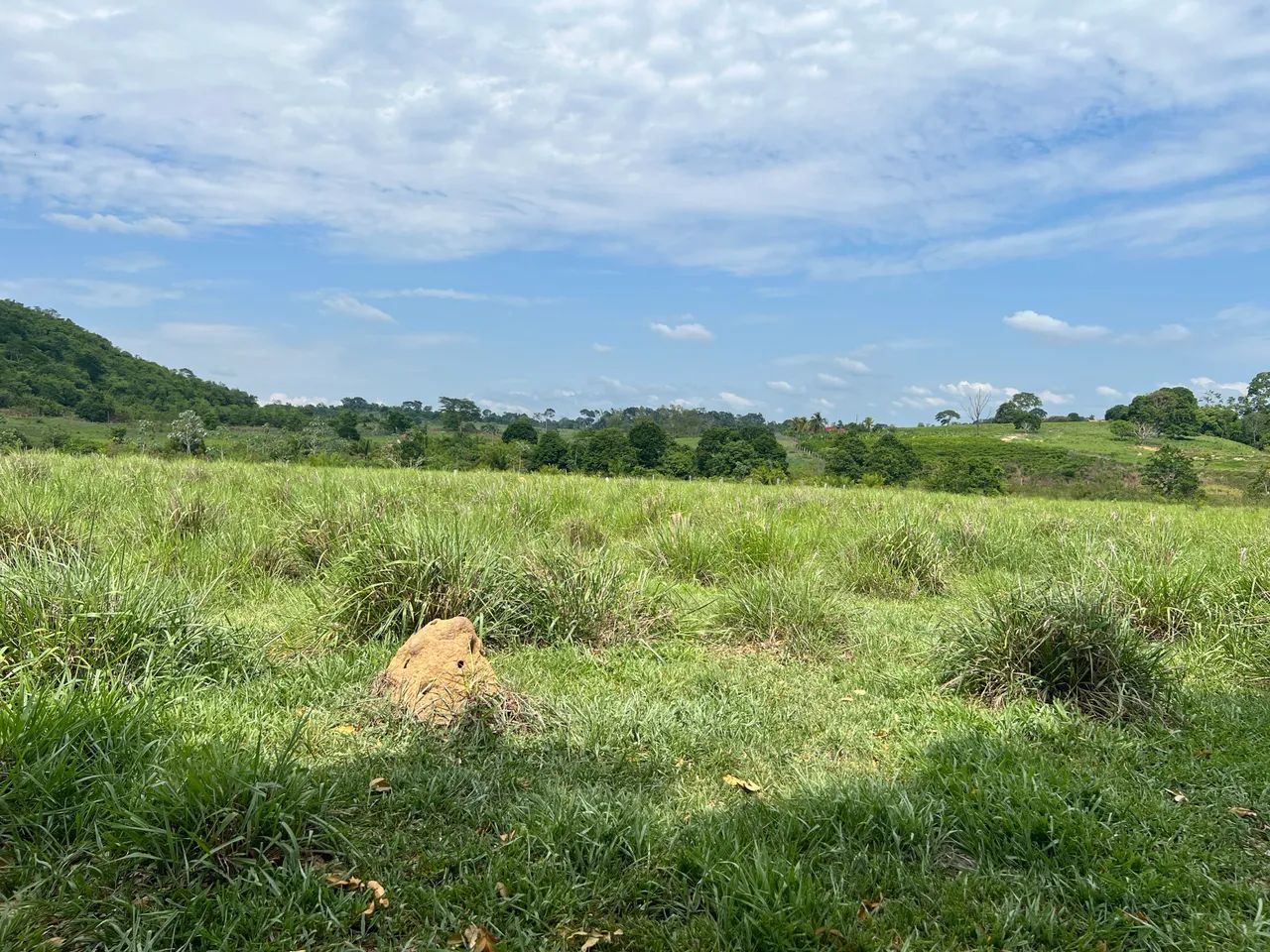 20 Alqueires A VENDA em Cacoal RO - Foto 6