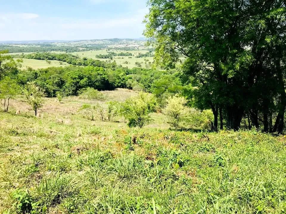 Sítio para venda em Cesário Lange com 3,5 alqueires - Foto 4