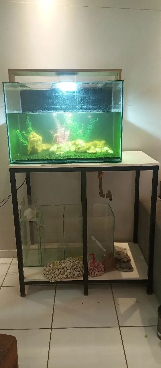 Aquário Completo com Sump + Móvel em Metalon + Mídias Biológicas