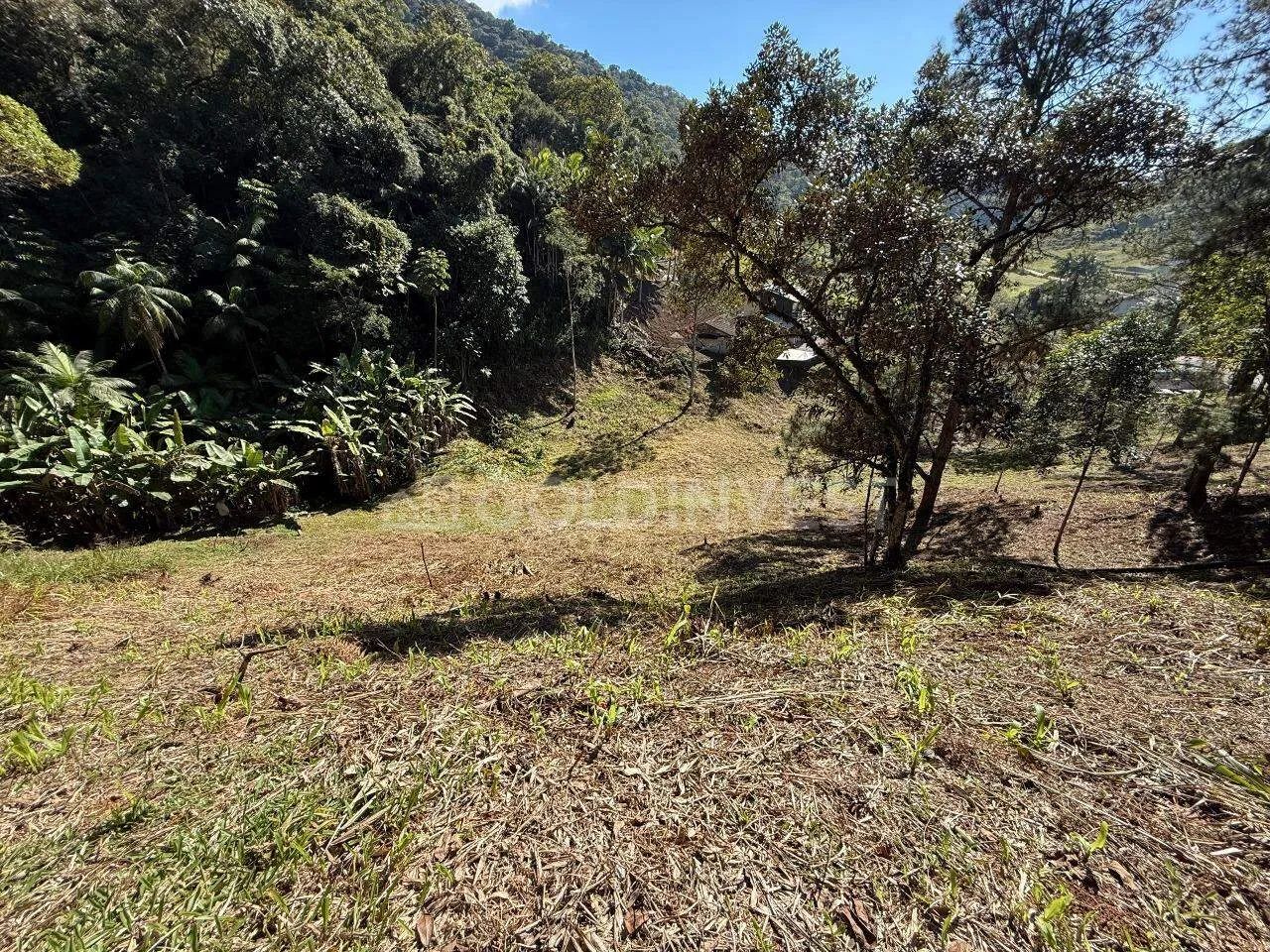TERRENO PARA SÍTIO EM GUABIRUBA - Foto 5