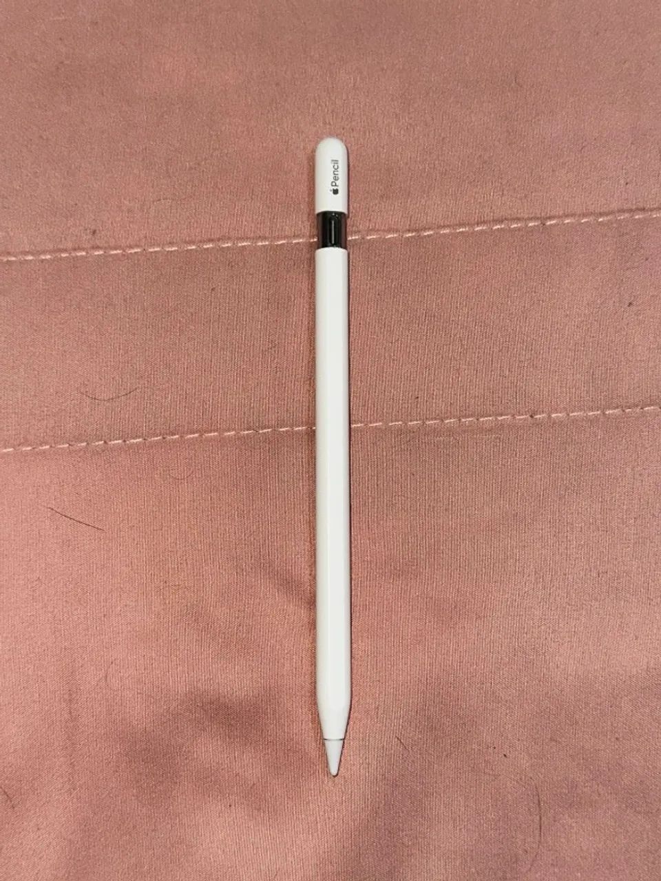 Apple Pencil USB-C - Tablets e E-Readers - Parque Santo Antônio
