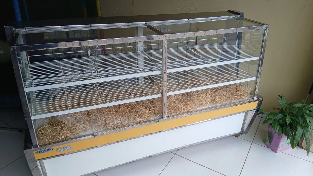 VENDE-SE VITRINE  - Foto 3