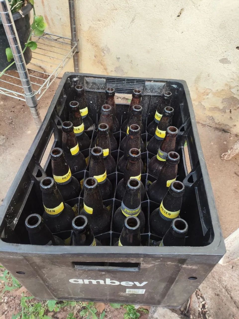 Engradado cerveja 600 ml