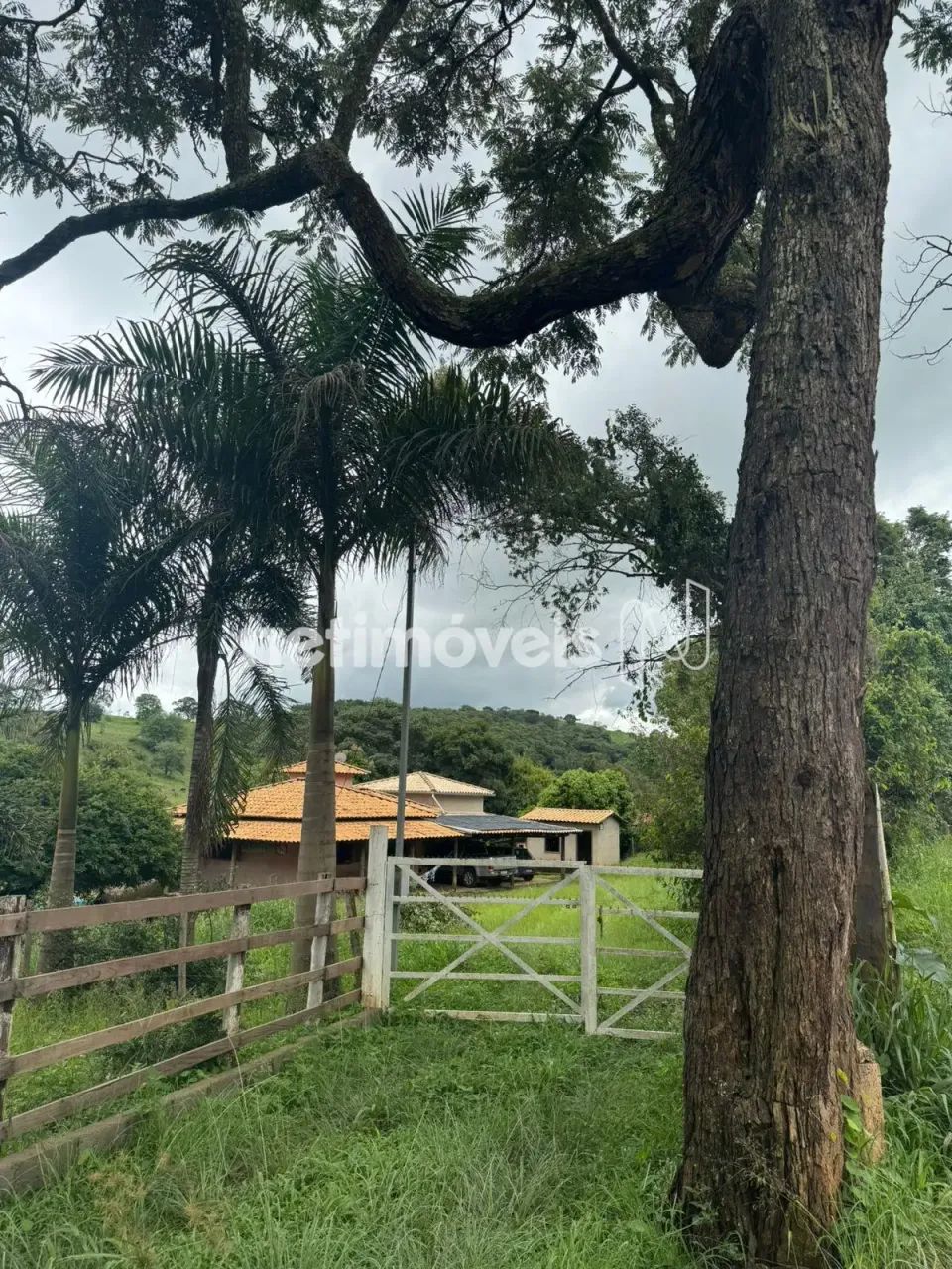 Venda Sítio Peroba de Baixo Piracema - Foto 4