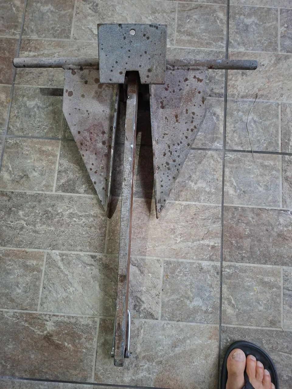 Ancora Dandorth 10 kg