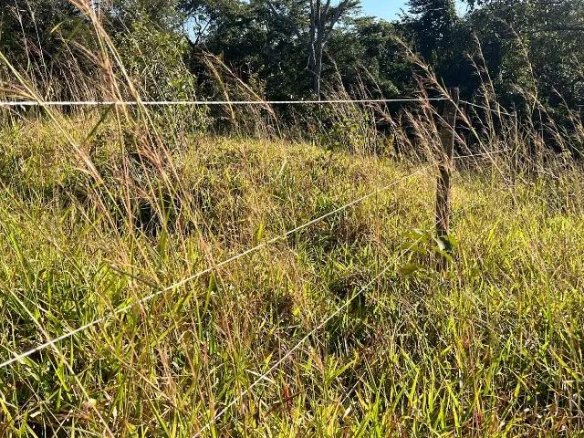 Chácaras 1.500m², R$60mil, Parcelado, Linda Vista, Energia, Cercada, Aragoiânia - Foto 4