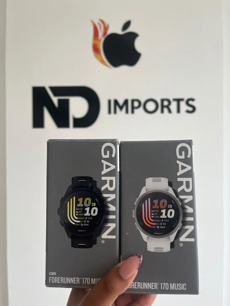 Garmin 170 music